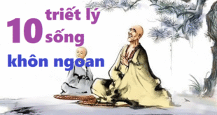 10 Bài Học Sâu Sắc Về Cuộc Sống: Đúc Kết Từ Trí Tuệ và Trải Nghiệm